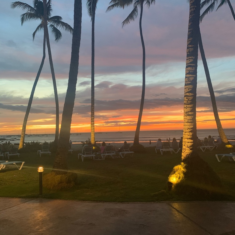 Meet your Posher, Julia